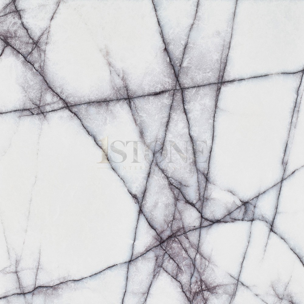 White marble with fine branching charcoal veining